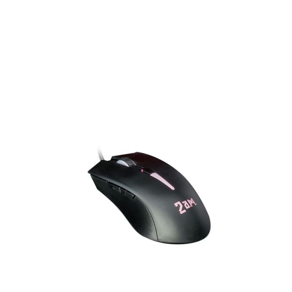 mouse2am